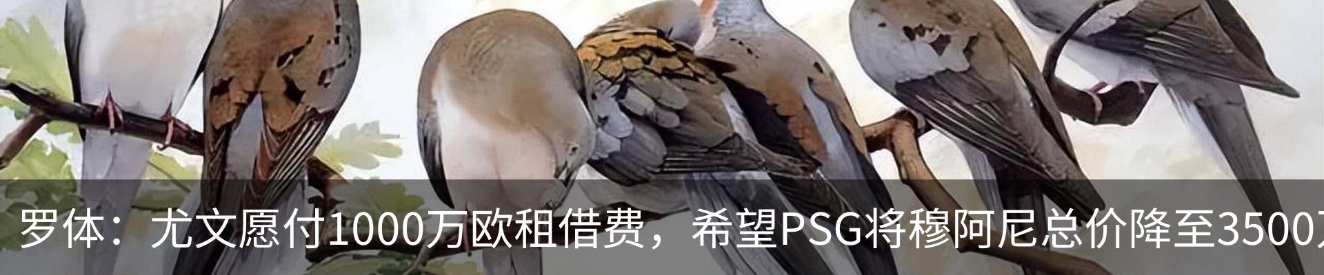 资讯动态